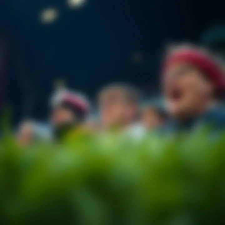 Fans Engrossed in the Game Football fans enjoying a game