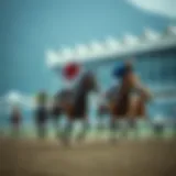 A historical view of Japanese horse racing culture