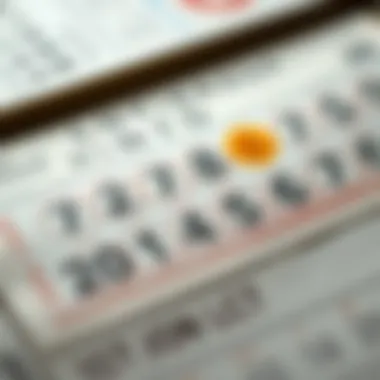 Lotto ticket with winning numbers highlighted