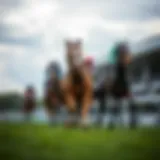 Understanding private horse racing sites