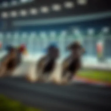 Dynamic racing action showcasing the thrill of sports betting