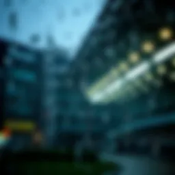 Symbolic representation of rain in dreams