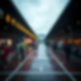 Concept of Toto Free Money in Sports Betting